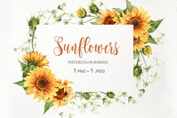 Download Watercolor Sunflower Border Frame PNG - Watercolor Collection