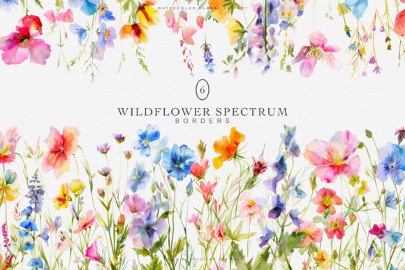 Download Watercolor Colorful Wildflowers Borders - Watercolor Collection