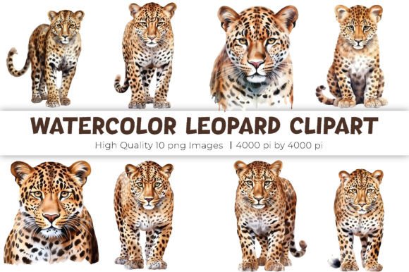 Download Watercolor Leopard Clipart - Watercolor Collection